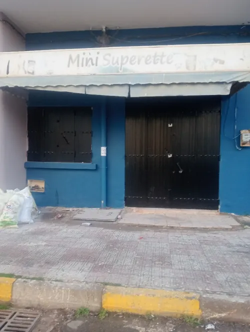 Location Local Tipaza Kolea