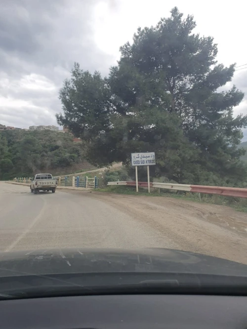 Vente Terrain Béjaïa Beni ksila