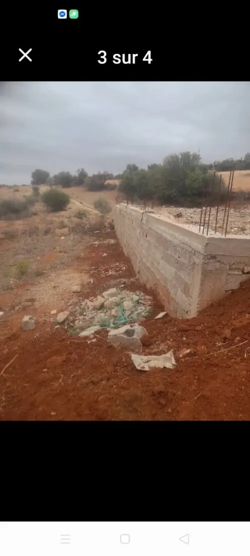 Vente Terrain Relizane Mazouna