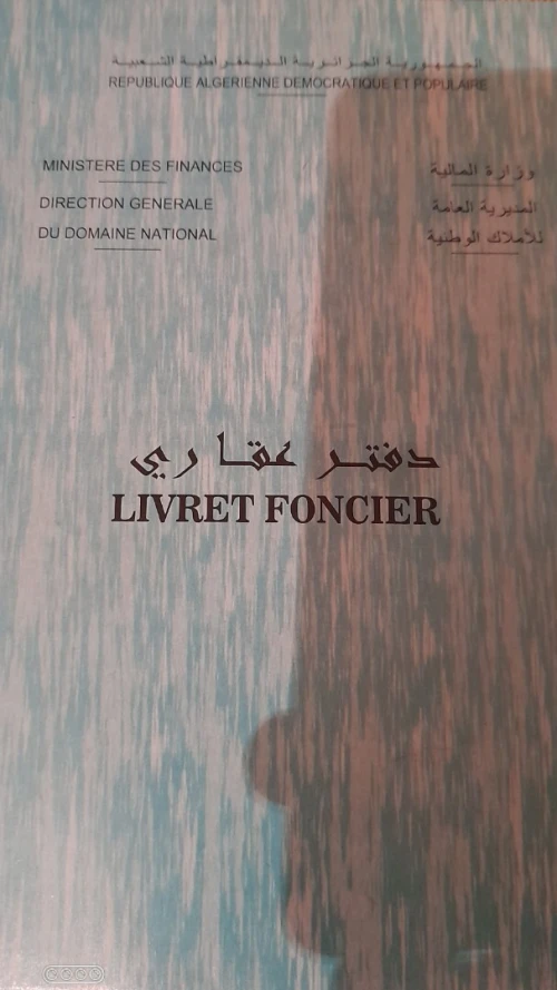 Vente Carcasse Tlemcen Mansourah