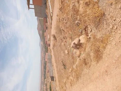 Vente Terrain Tlemcen Tlemcen