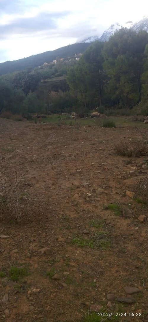 Vente Terrain Bouira Haizer