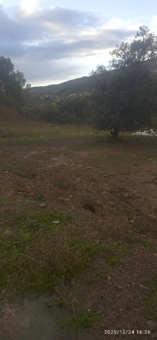 Vente Terrain Bouira Haizer