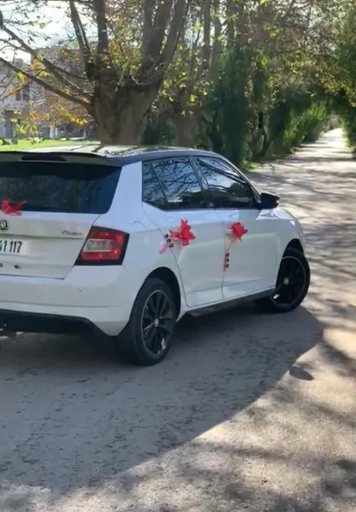 Skoda Fabia 2017 Monte Carlo