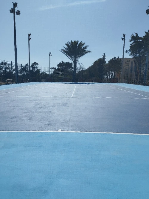 Tapis gomme, terrain de sport , salle de sport revêtements epdm , gomme gazon, 