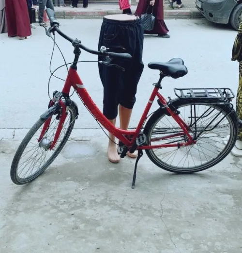 VELO