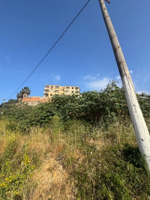 Vente Terrain Alger Draria