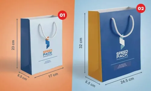 Sac en papier