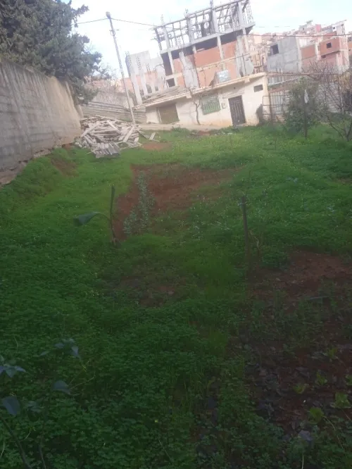 Vente Terrain Alger Douera