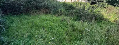 Vente Terrain Alger Hydra