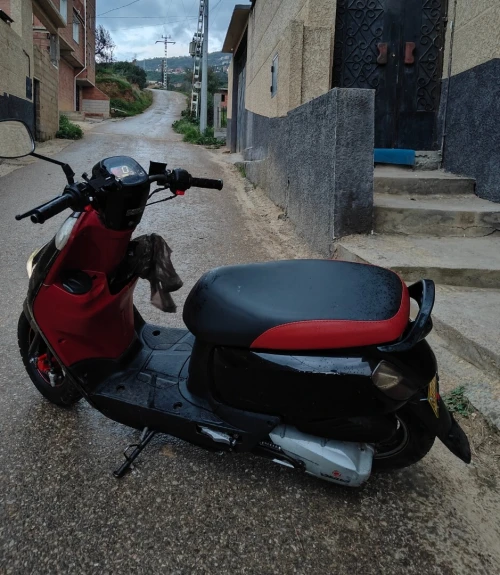 Cuxi Cuxi1 2020