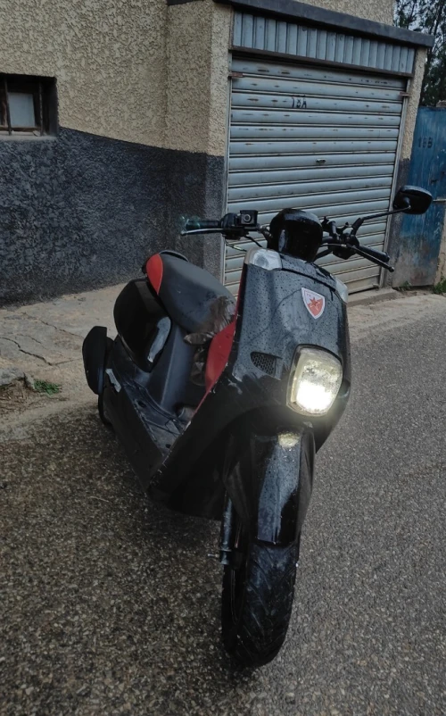 Cuxi Cuxi1 2020
