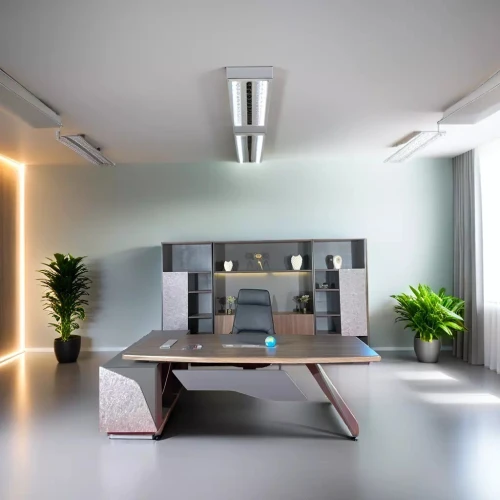 Bureaux de Direction LUXE  Prestige & Puissance pour Votre Bureau