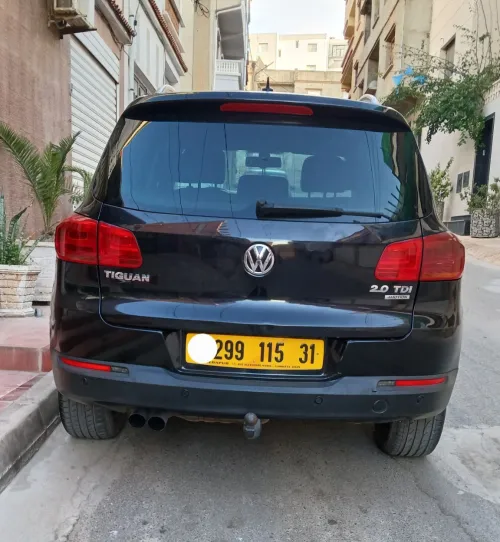 Volkswagen Tiguan 2015 Cup