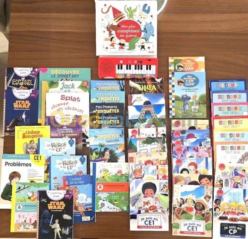 Livres en français enfants CP et CE1 ( 41 livres)