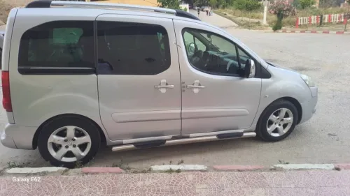Peugeot Partner 2010 Tepee