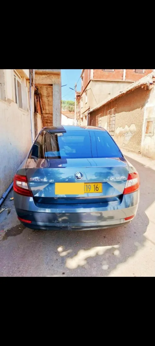 Skoda Octavia 2019 Sensation