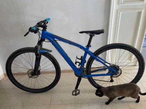 specialized Vélo 