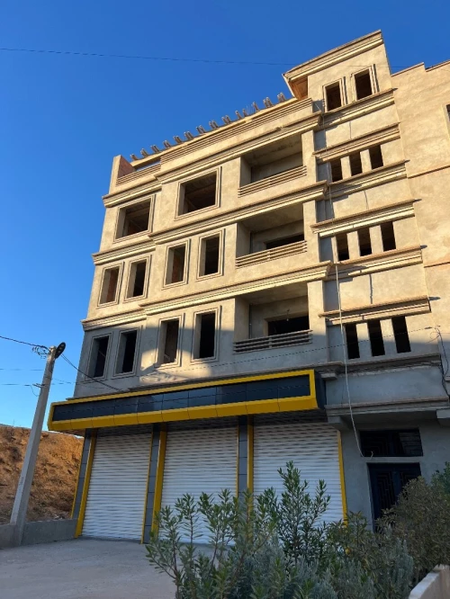 Vente Immeuble Tiaret Tiaret