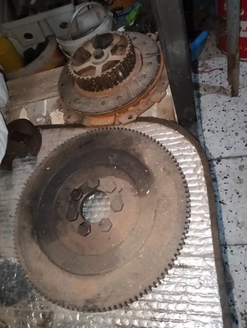 D65