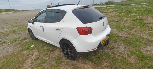 Seat Ibiza 2011 Loca