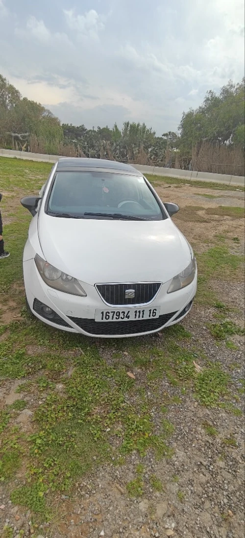 Seat Ibiza 2011 Loca