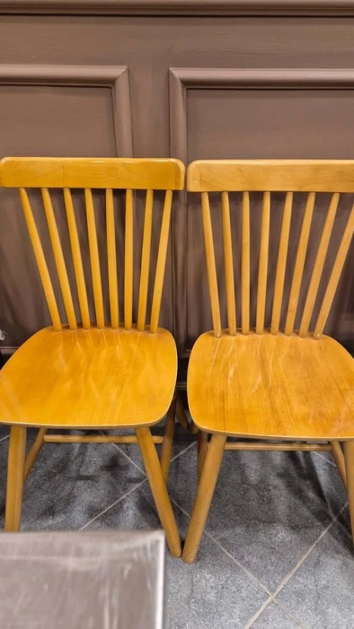 Chaise boix hêtre