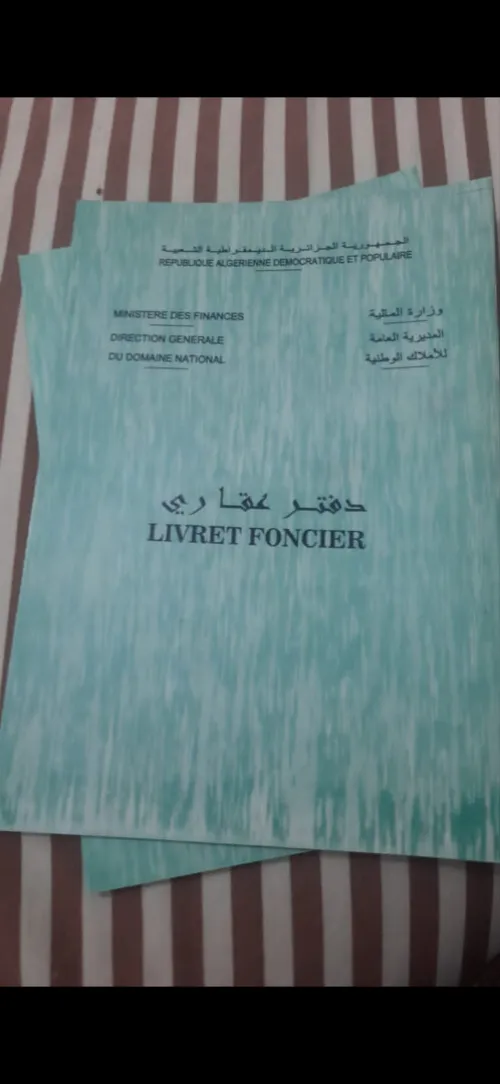 Vente Terrain Biskra El kantara 13