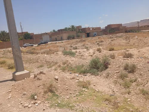 Vente Terrain Biskra El kantara 16