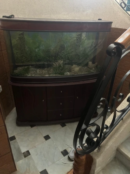 Aquarium