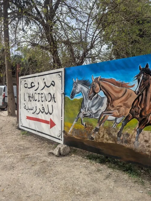 الرسم على الجدران dessin sur le mur