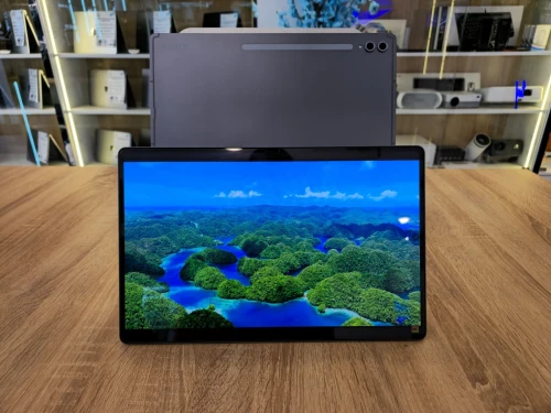 TABLETTE SAMSUNG TAB S10 ULTRA SM-X920 (5G) /8G/256G SSD /WIFI-7/14.6'' AMOLED 2X 120HZ