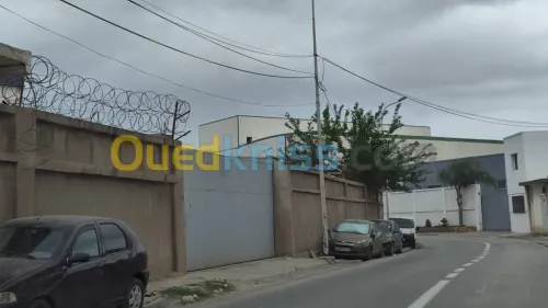 Vente Terrain Alger Reghaia