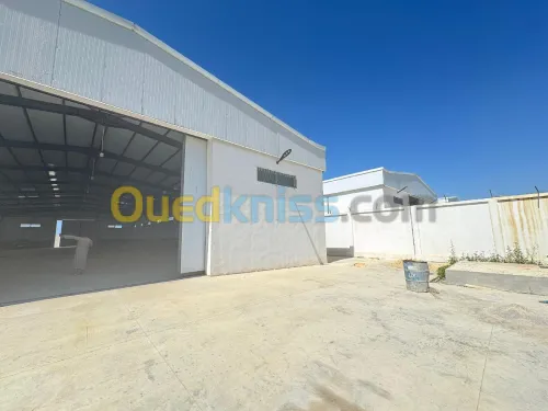 Location Hangar Blida Beni tamou