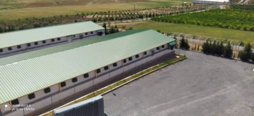 Vente Hangar Alger Rouiba