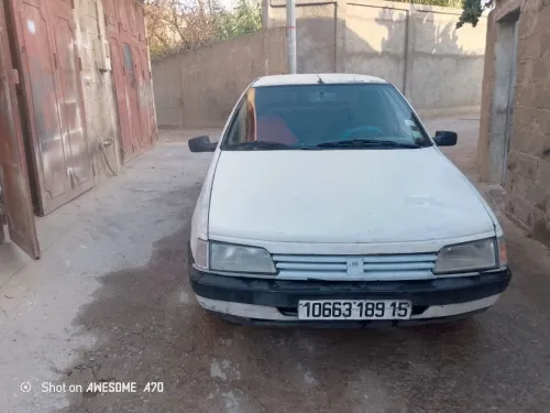 Peugeot 405 1989 405