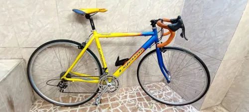 Vélos course Lejeune 