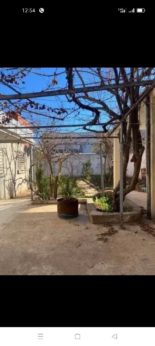 Vente Terrain Tlemcen Mansourah