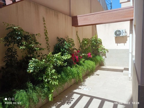 Location Appartement F3 Alger El achour