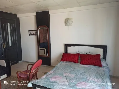 Location Appartement Studio Alger Cheraga