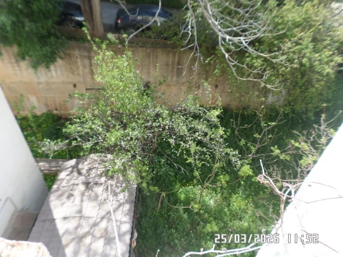 Vente Appartement F3 Alger Said hamdine