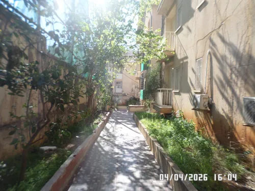 Vente Appartement F3 Alger Cheraga
