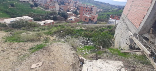 Vente Terrain Alger Douera