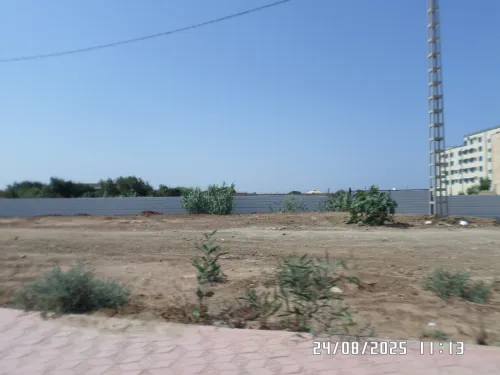 Vente Terrain Alger Staoueli