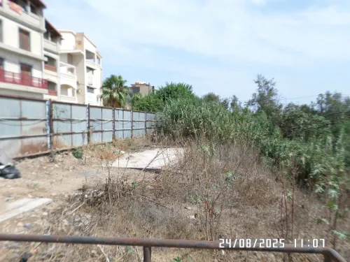 Vente Terrain Alger Staoueli