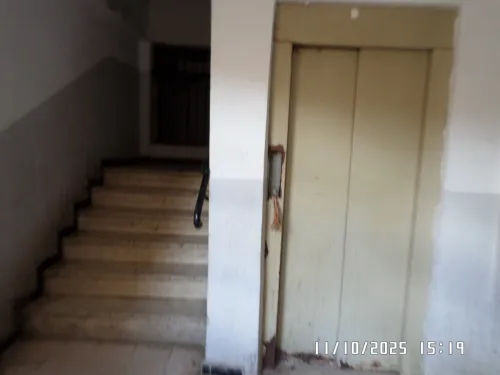 Vente Appartement F3 Alger Zeralda