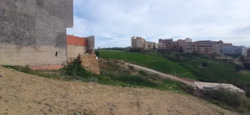 Vente Terrain Alger Douera