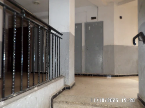 Vente Appartement F3 Alger Zeralda