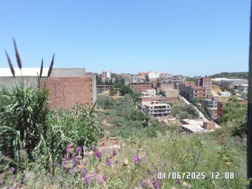 Vente Terrain Alger Khraissia
