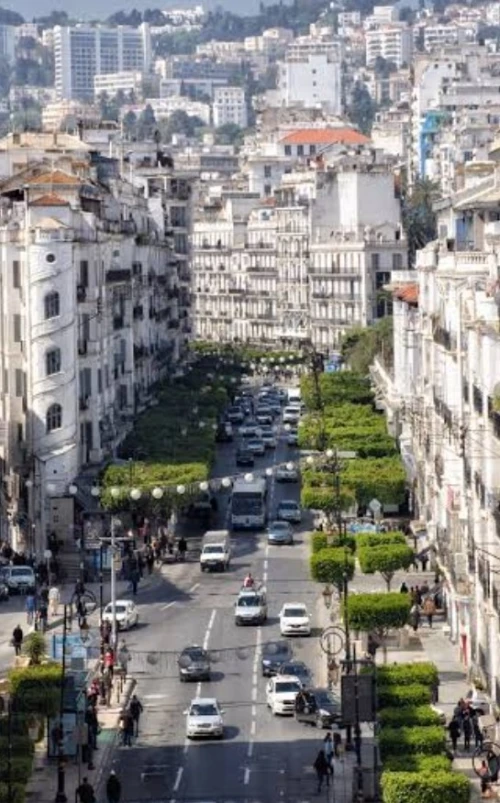 Vente Local Alger Alger centre